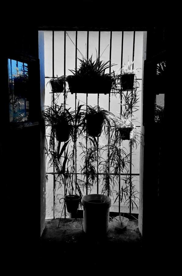 Posada Matadero Cortelazor エクステリア 写真
